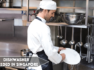 Dishwasher needed in Singapore 2023